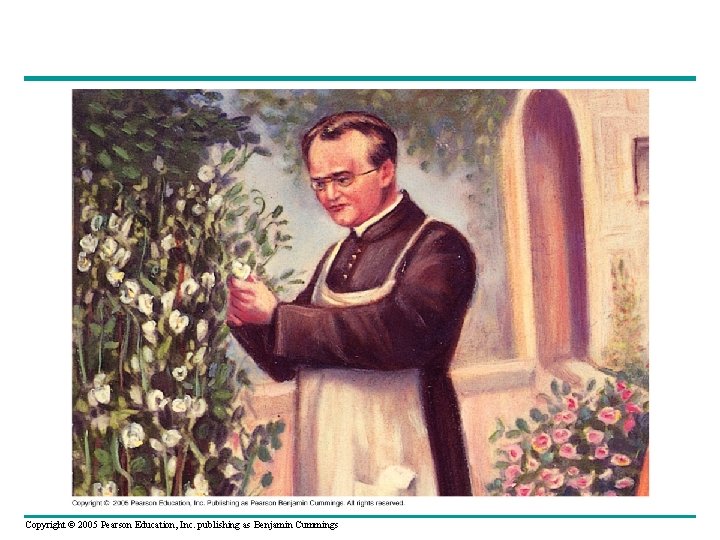 Copyright © 2005 Pearson Education, Inc. publishing as Benjamin Cummings 