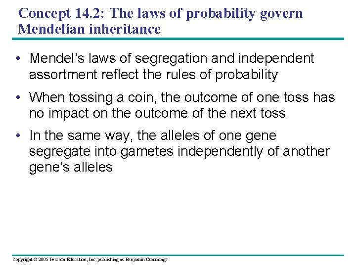 Concept 14. 2: The laws of probability govern Mendelian inheritance • Mendel’s laws of