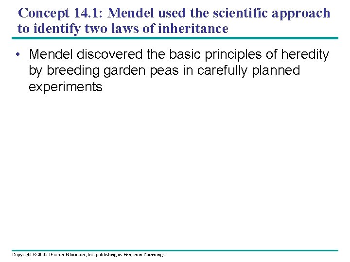Concept 14. 1: Mendel used the scientific approach to identify two laws of inheritance