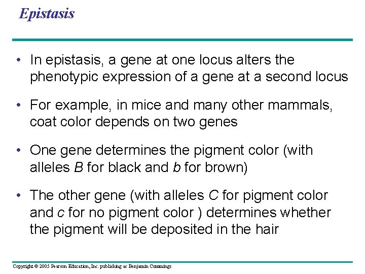 Epistasis • In epistasis, a gene at one locus alters the phenotypic expression of