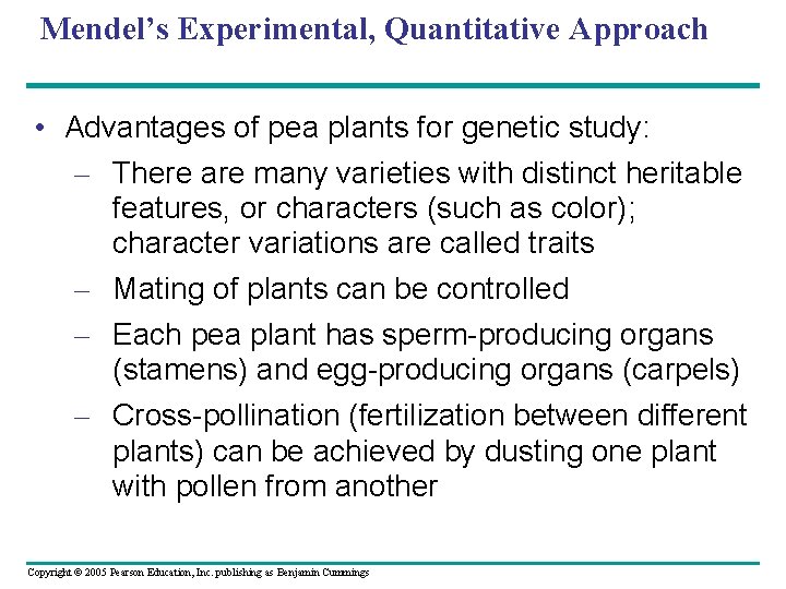 Mendel’s Experimental, Quantitative Approach • Advantages of pea plants for genetic study: – There