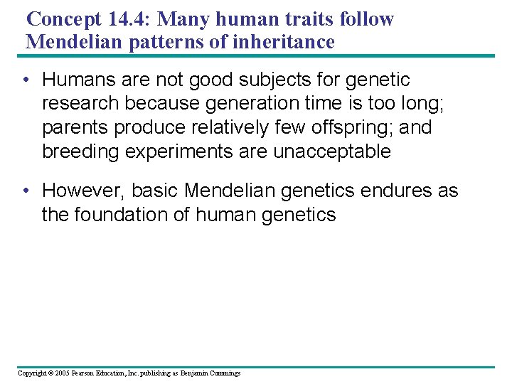 Concept 14. 4: Many human traits follow Mendelian patterns of inheritance • Humans are