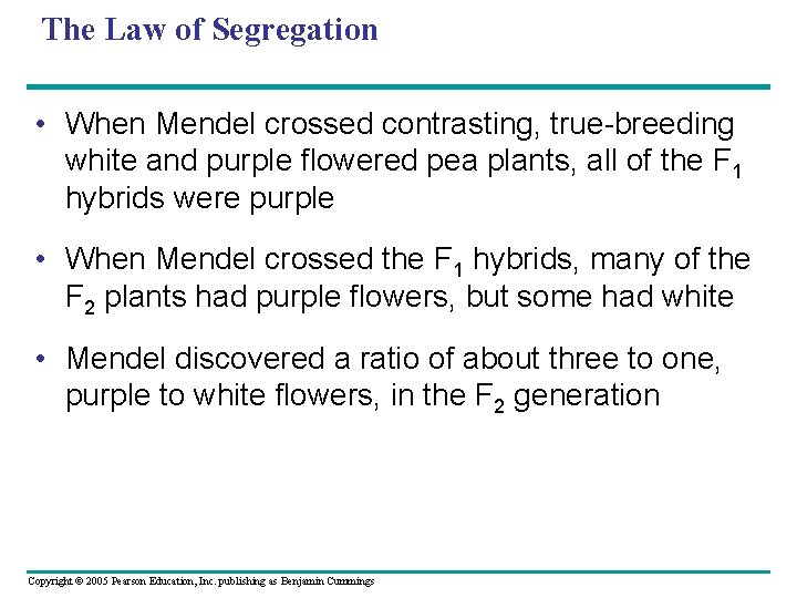 The Law of Segregation • When Mendel crossed contrasting, true-breeding white and purple flowered