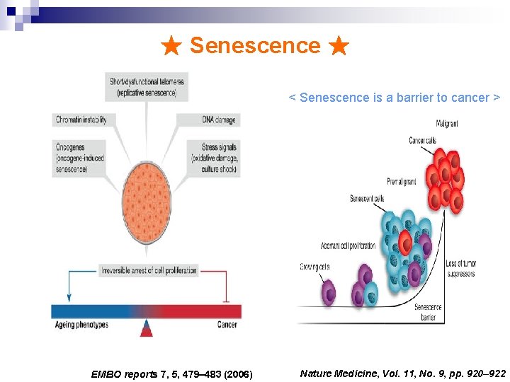 ★ Senescence ★ < Senescence is a barrier to cancer > EMBO reports 7,
