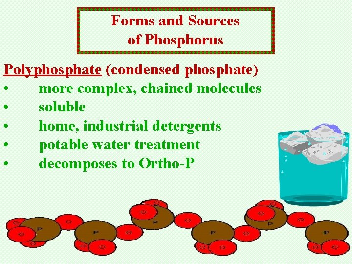 Forms and Sources of Phosphorus Polyphosphate (condensed phosphate) • more complex, chained molecules •
