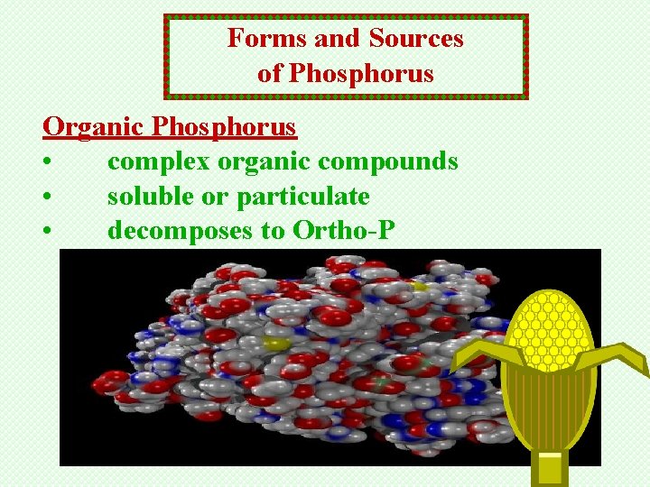 Forms and Sources of Phosphorus Organic Phosphorus • complex organic compounds • soluble or