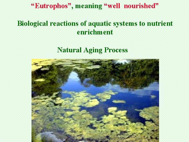“Eutrophos”, meaning “well nourished” Biological reactions of aquatic systems to nutrient enrichment Natural Aging