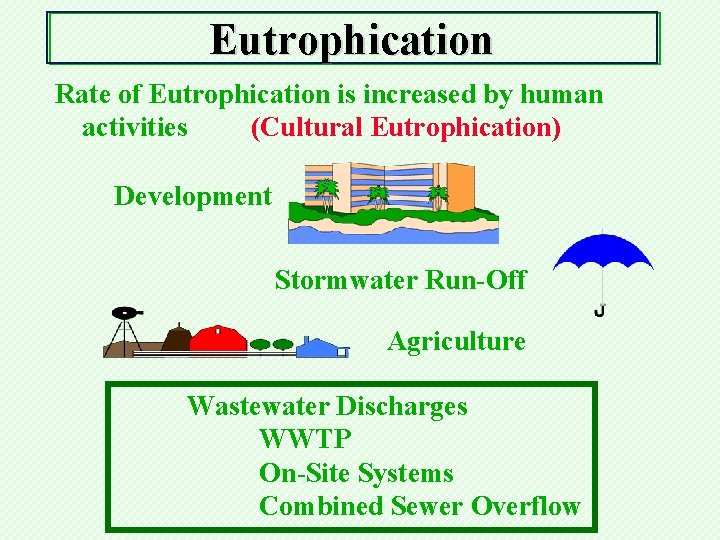 Eutrophication Rate of Eutrophication is increased by human activities (Cultural Eutrophication) Development Stormwater Run-Off