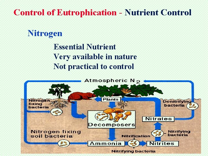 Control of Eutrophication - Nutrient Control Nitrogen Essential Nutrient Very available in nature Not