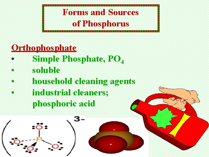 Forms and Sources of Phosphorus Orthophosphate • Simple Phosphate, PO 4 • soluble •