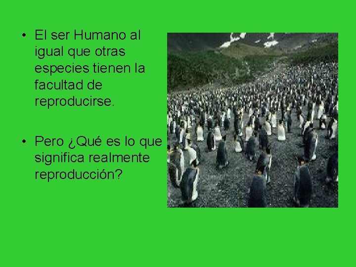 REPRODUCCIN Etapas de la vida Todo ser viviente