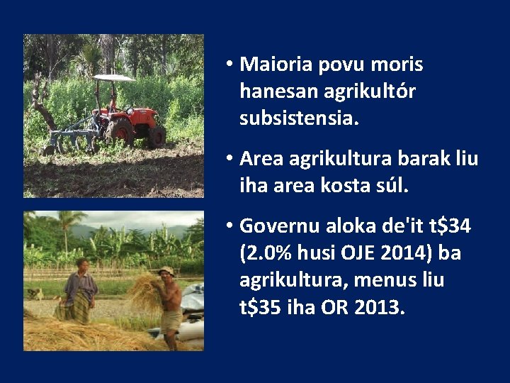  • Maioria povu moris hanesan agrikultór subsistensia. • Area agrikultura barak liu iha