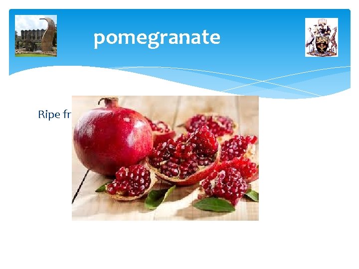 pomegranate Ripe fruits 