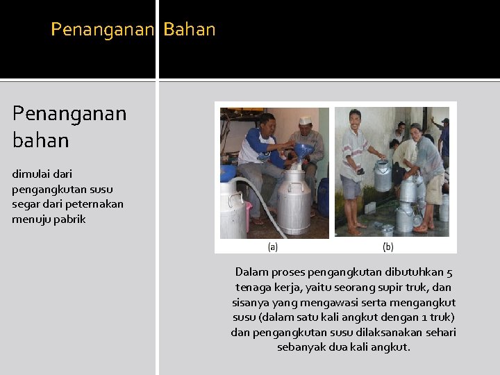 Penanganan Bahan Penanganan bahan dimulai dari pengangkutan susu segar dari peternakan menuju pabrik Dalam