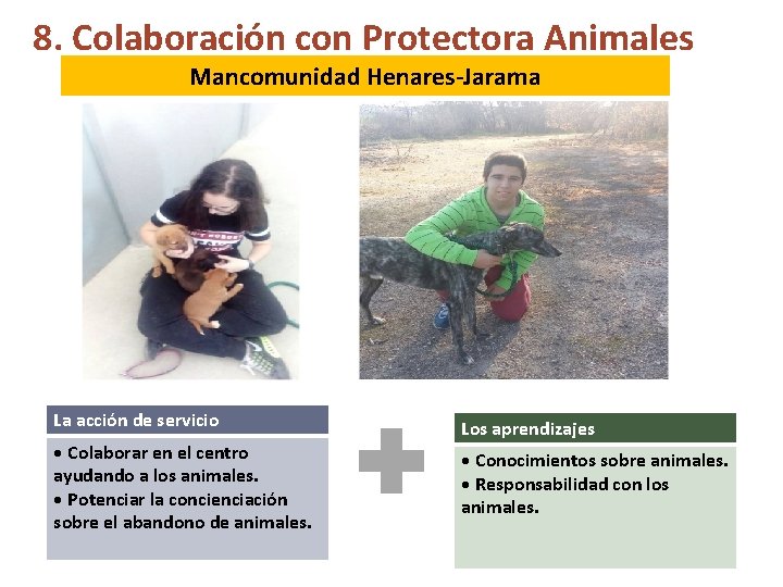 8. Colaboración con Protectora Animales Mancomunidad Henares-Jarama La acción de servicio Los aprendizajes •