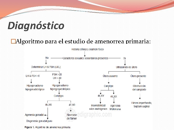 Diagnóstico �Algoritmo para el estudio de amenorrea primaria: 