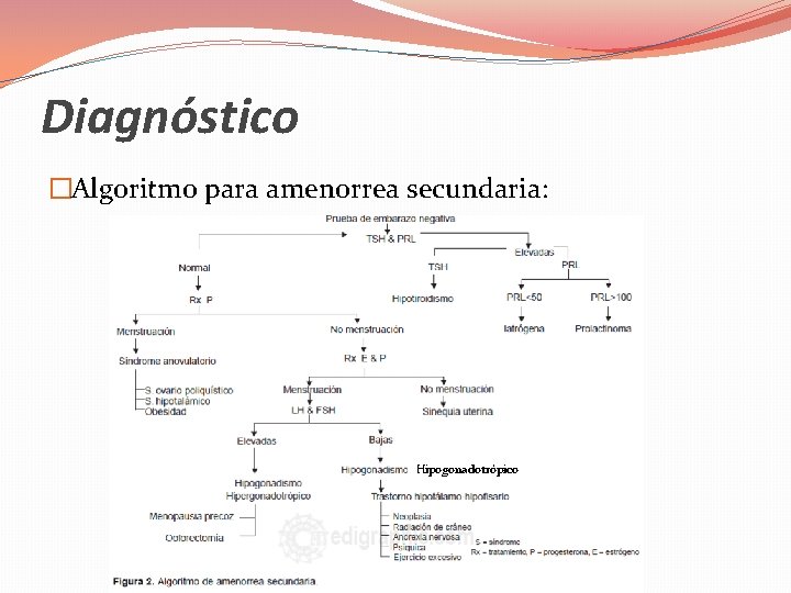 Diagnóstico �Algoritmo para amenorrea secundaria: Hipogonadotrópico 