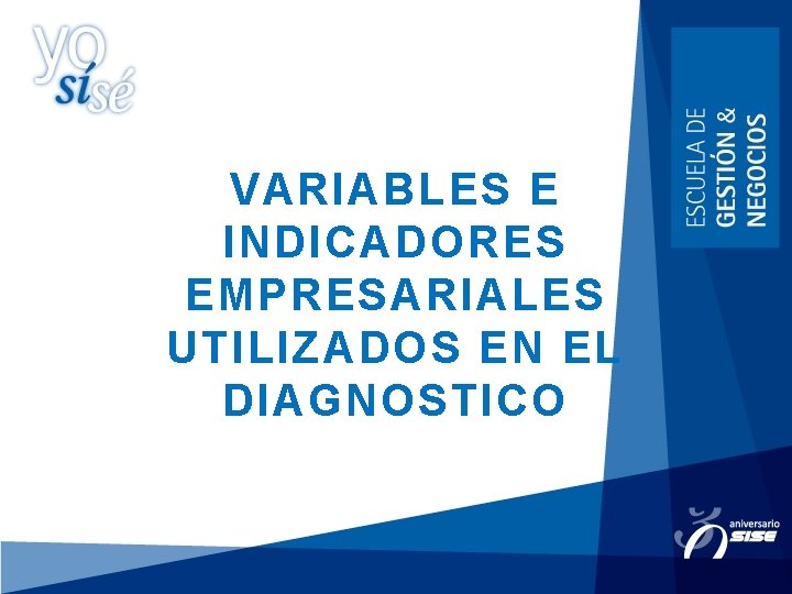 VARIABLES E INDICADORES EMPRESARIALES UTILIZADOS EN EL DIAGNOSTICO 