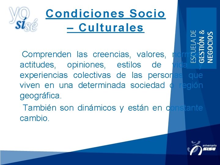 Condiciones Socio – Culturales Comprenden las creencias, valores, normas, actitudes, opiniones, estilos de vida