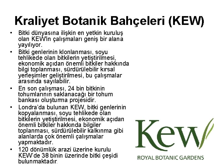  Kraliyet Botanik Bahçeleri (KEW) • Bitki dünyasına ilişkin en yetkin kuruluş olan KEW'in