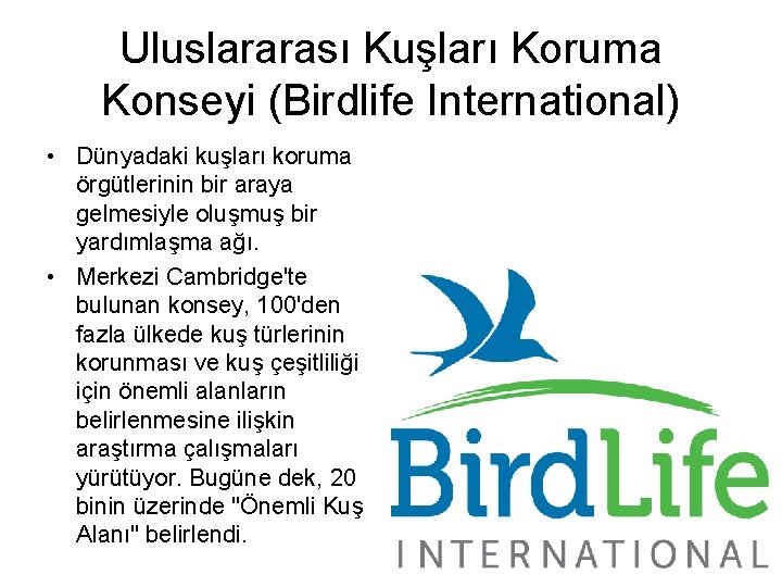 Uluslararası Kuşları Koruma Konseyi (Birdlife International) • Dünyadaki kuşları koruma örgütlerinin bir araya gelmesiyle