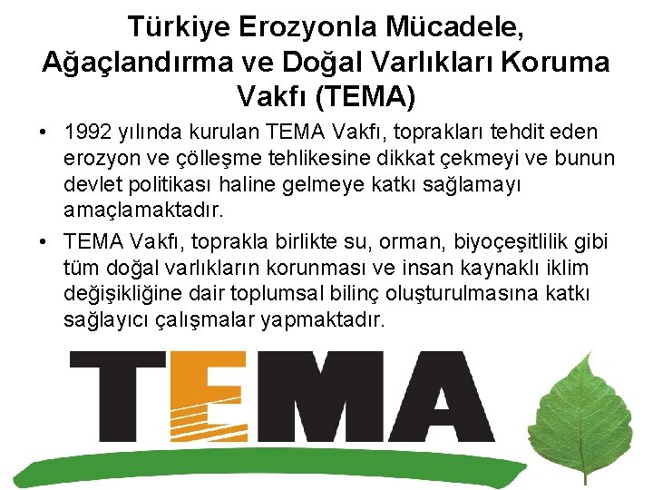 Türkiye Erozyonla Mücadele, Ağaçlandırma ve Doğal Varlıkları Koruma Vakfı (TEMA) • 1992 yılında kurulan