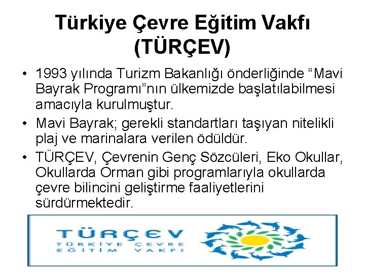 Türkiye Çevre Eğitim Vakfı (TÜRÇEV) • 1993 yılında Turizm Bakanlığı önderliğinde “Mavi Bayrak Programı”nın