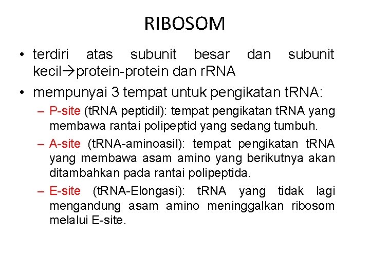 RIBOSOM • terdiri atas subunit besar dan subunit kecil protein-protein dan r. RNA •