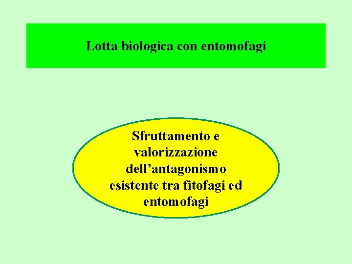 Lotta biologica con entomofagi Sfruttamento e valorizzazione dell’antagonismo esistente tra fitofagi ed entomofagi 