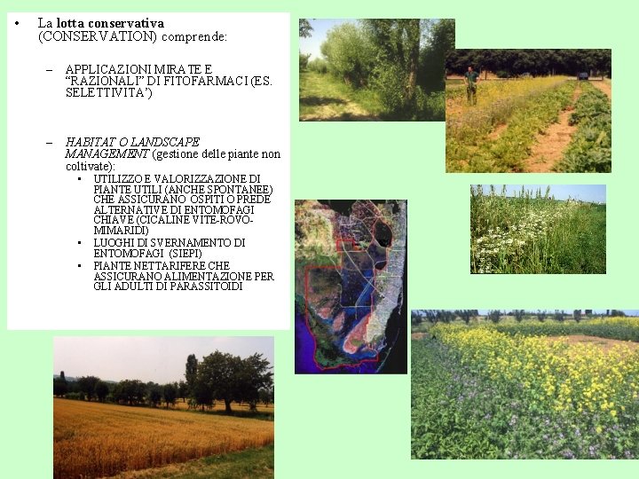  • La lotta conservativa (CONSERVATION) comprende: – APPLICAZIONI MIRATE E “RAZIONALI” DI FITOFARMACI