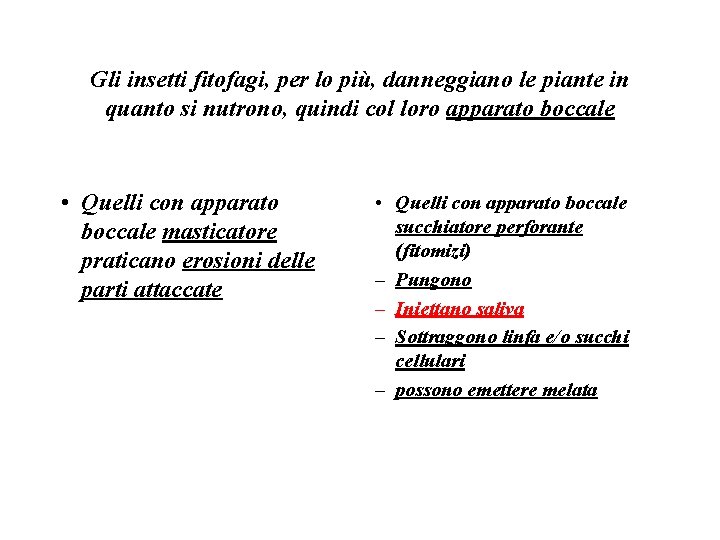 Gli insetti fitofagi, per lo più, danneggiano le piante in quanto si nutrono, quindi