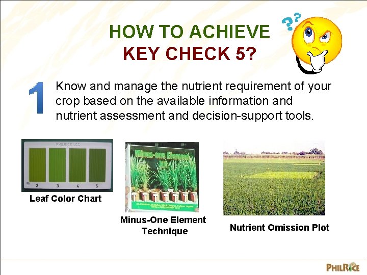 HOW TO ACHIEVE KEY CHECK 5? Know and manage the nutrient requirement of your