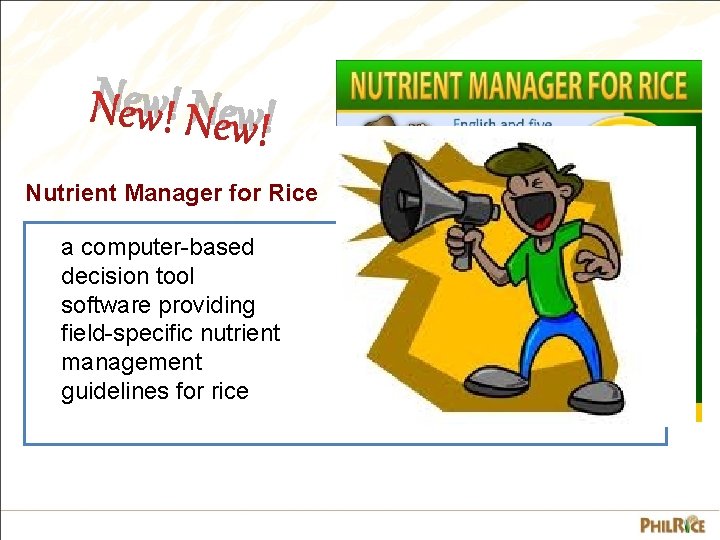 New! Nutrient Manager for Rice a computer-based decision tool software providing field-specific nutrient management