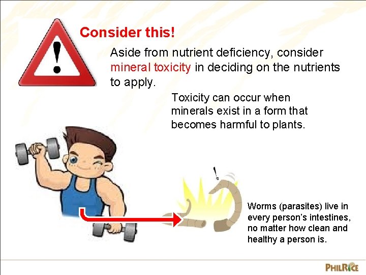 Consider this! Aside from nutrient deficiency, consider mineral toxicity in deciding on the nutrients
