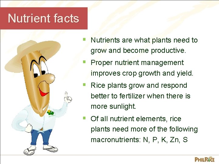 Nutrient facts § Nutrients are what plants need to grow and become productive. §