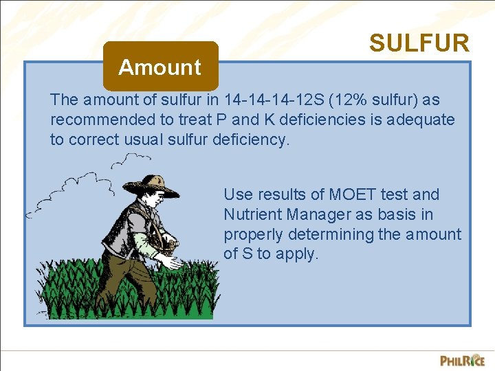 Amount SULFUR The amount of sulfur in 14 -14 -14 -12 S (12% sulfur)