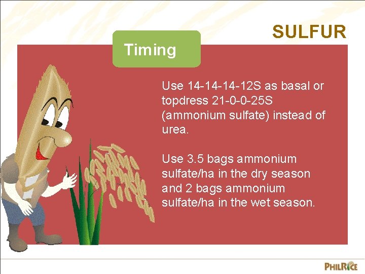 Timing SULFUR Use 14 -14 -14 -12 S as basal or topdress 21 -0