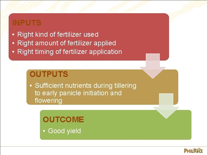 INPUTS • Right kind of fertilizer used • Right amount of fertilizer applied •