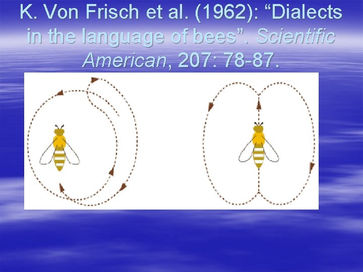 K. Von Frisch et al. (1962): “Dialects in the language of bees”. Scientific American, K. Von Frisch et al. (1962): “Dialects in the language of bees”. Scientific American,