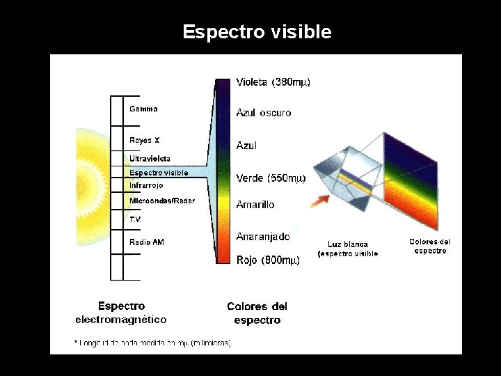 Espectro visible 