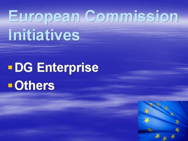 European Commission Initiatives § DG Enterprise § Others 