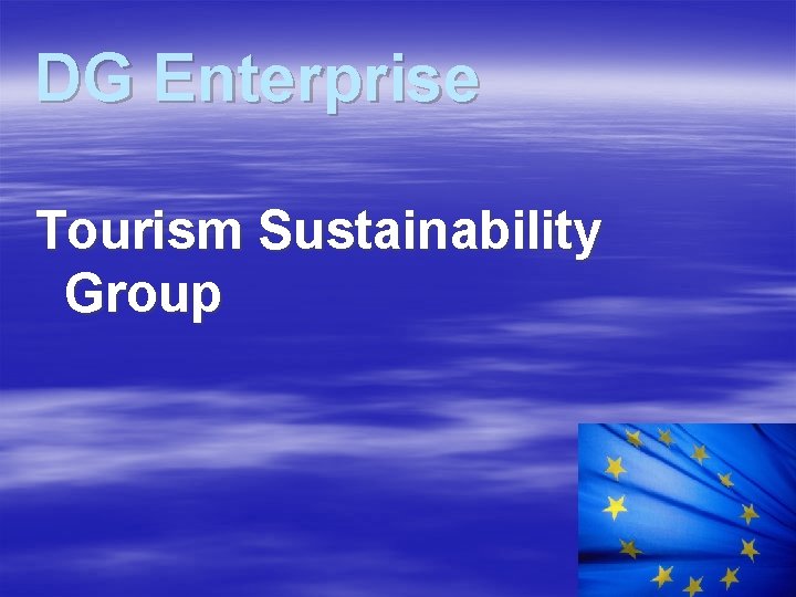 DG Enterprise Tourism Sustainability Group 