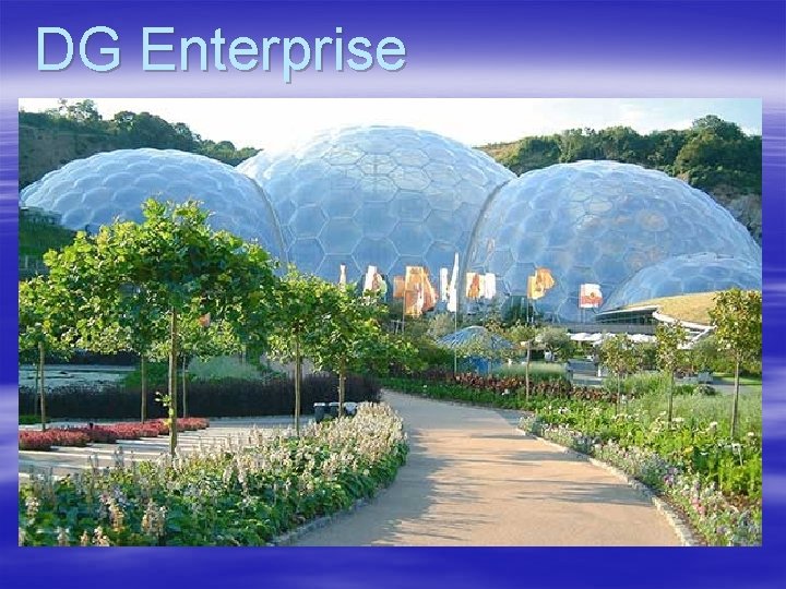 DG Enterprise 