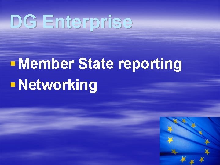 DG Enterprise § Member State reporting § Networking 