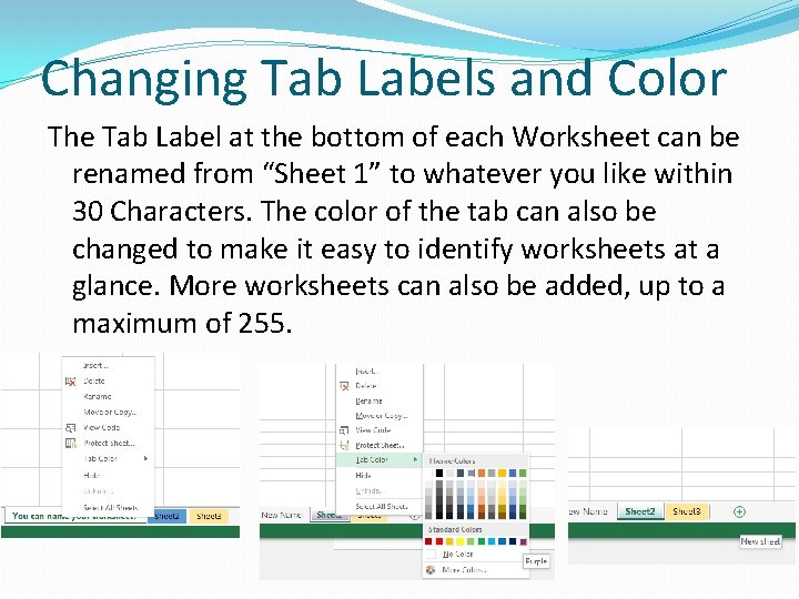 Changing Tab Labels and Color The Tab Label at the bottom of each Worksheet