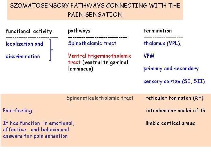 SZOMATOSENSORY PATHWAYS CONNECTING WITH THE PAIN SENSATION functional activity ------------localization and pathways -------------Spinothalamic tract