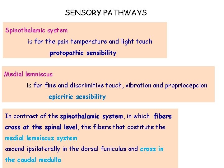 SENSORY PATHWAYS Spinothalamic system is for the pain temperature and light touch protopathic sensibility