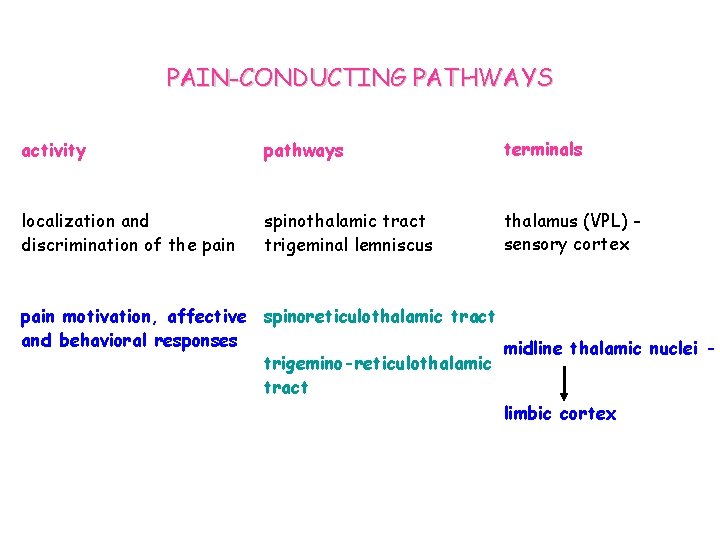 PAIN-CONDUCTING PATHWAYS activity pathways terminals localization and discrimination of the pain spinothalamic tract trigeminal