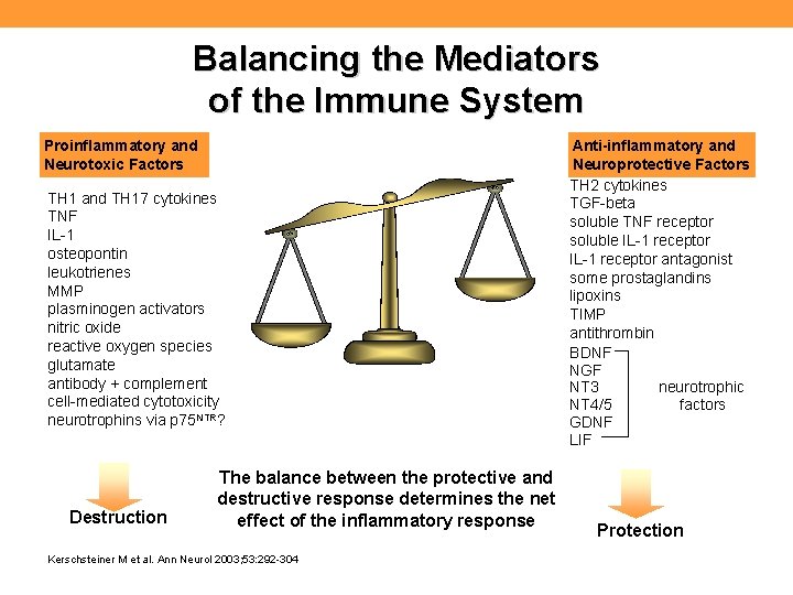 Balancing the Mediators of the Immune System Proinflammatory and Neurotoxic Factors TH 1 and