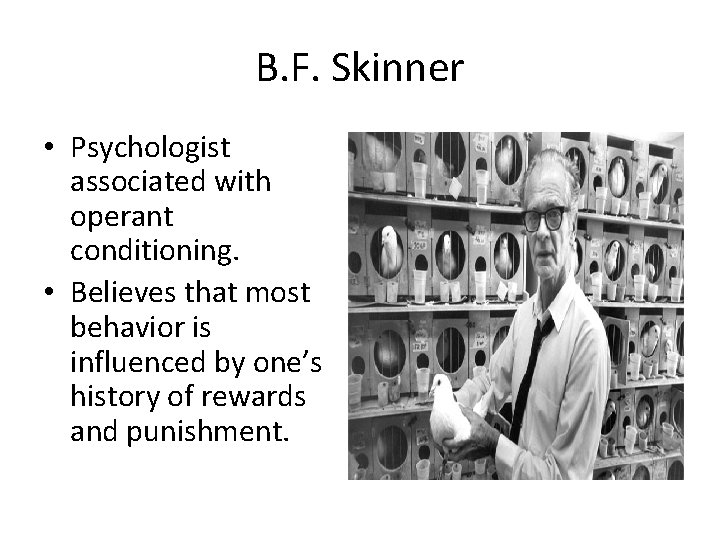 B. F. Skinner • Psychologist associated with operant conditioning. • Believes that most behavior B. F. Skinner • Psychologist associated with operant conditioning. • Believes that most behavior